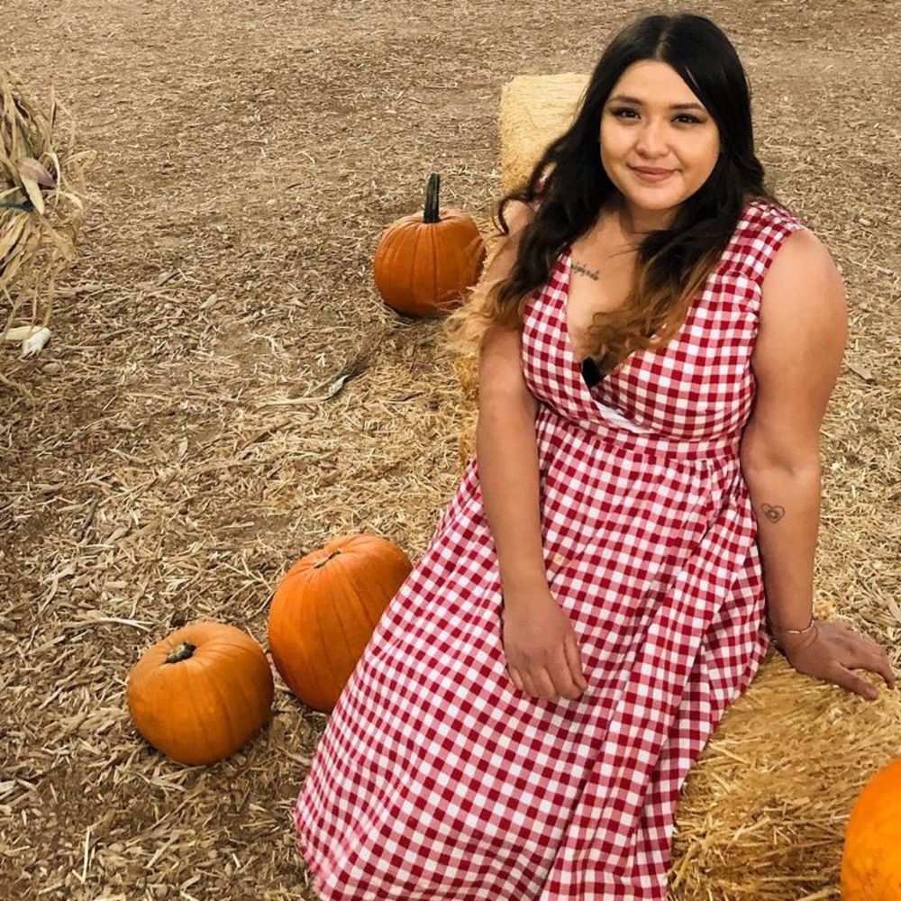 gingham red and white dress 12